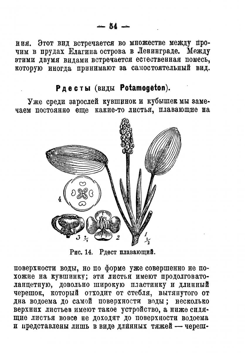 биология водных растений