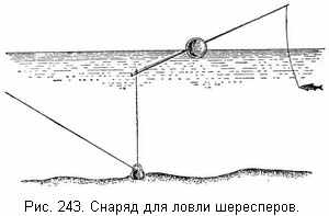 Снаряд для ловли шересперов